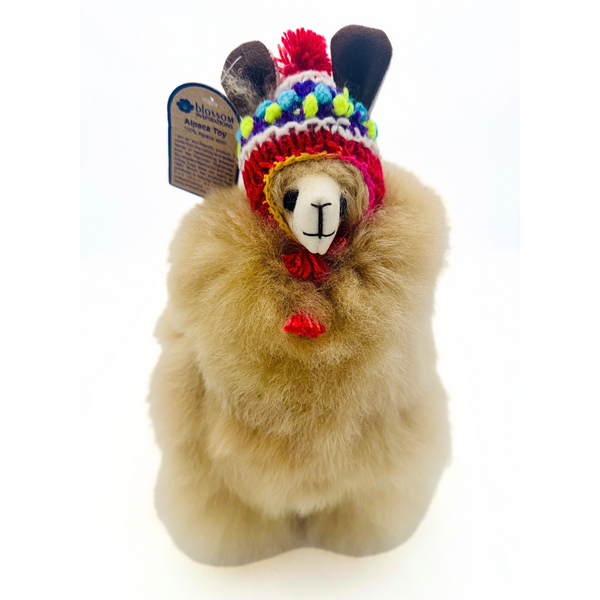 Winter Alpaca with Handmade Chullo