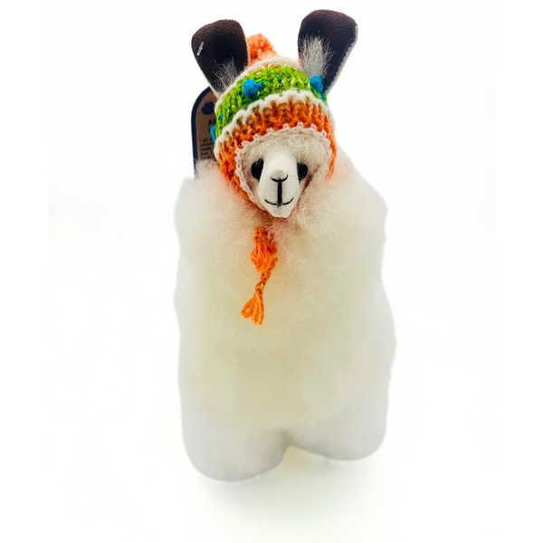 Winter Alpaca with Handmade Chullo