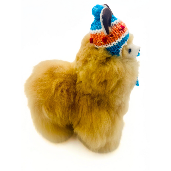 Winter Alpaca with Handmade Chullo