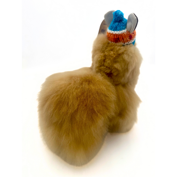 Winter Alpaca with Handmade Chullo