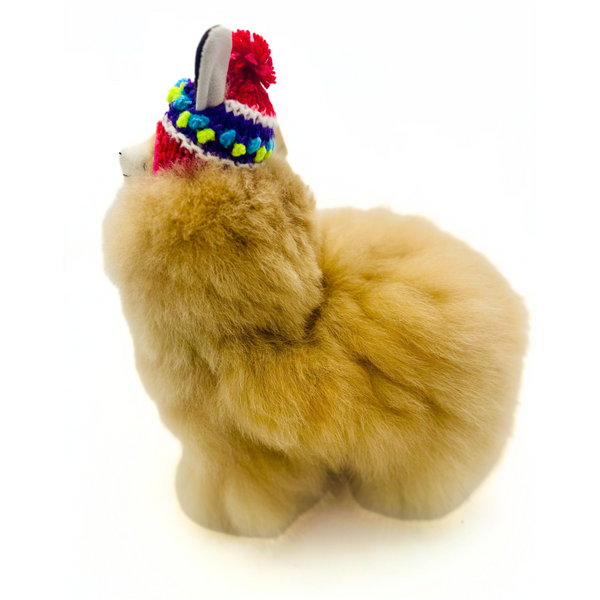 Winter Alpaca with Handmade Chullo