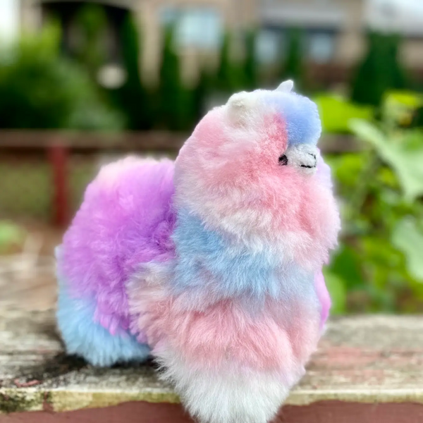 Colorinche Llamacorn