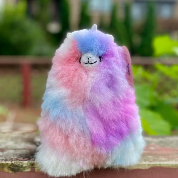 Colorinche Llamacorn