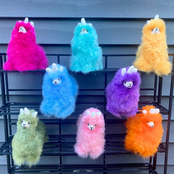 Sitting Llamacorns