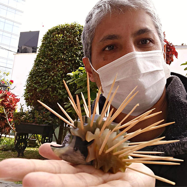 Hedgehog Toothpick Holder Recycled