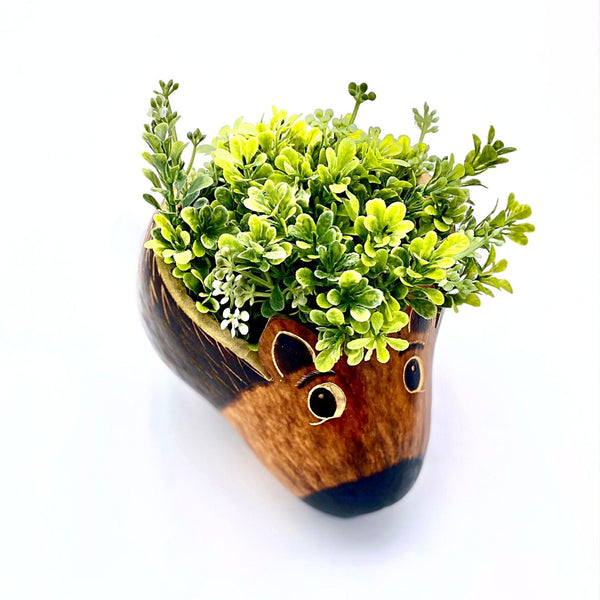 Ecofriendly Hedgehog Planter Pot Gourd