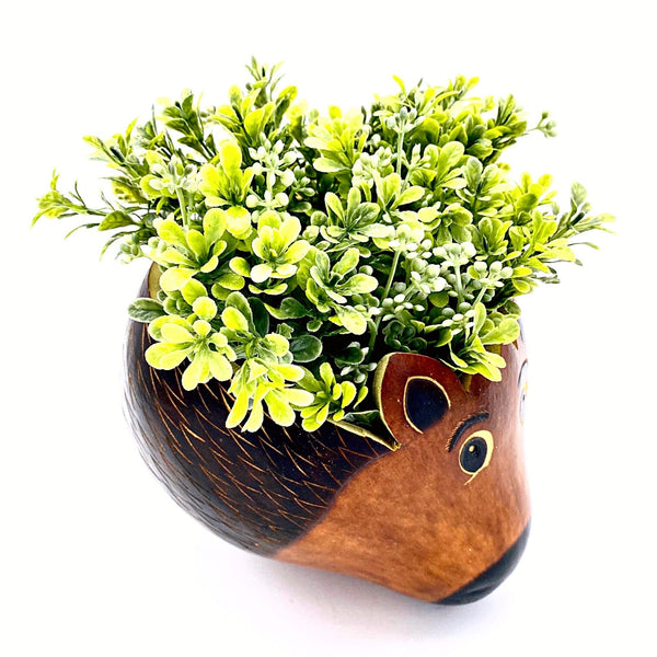 Ecofriendly Hedgehog Planter Pot Gourd