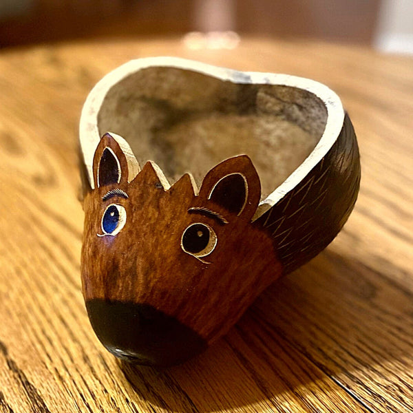 Ecofriendly Hedgehog Planter Pot Gourd