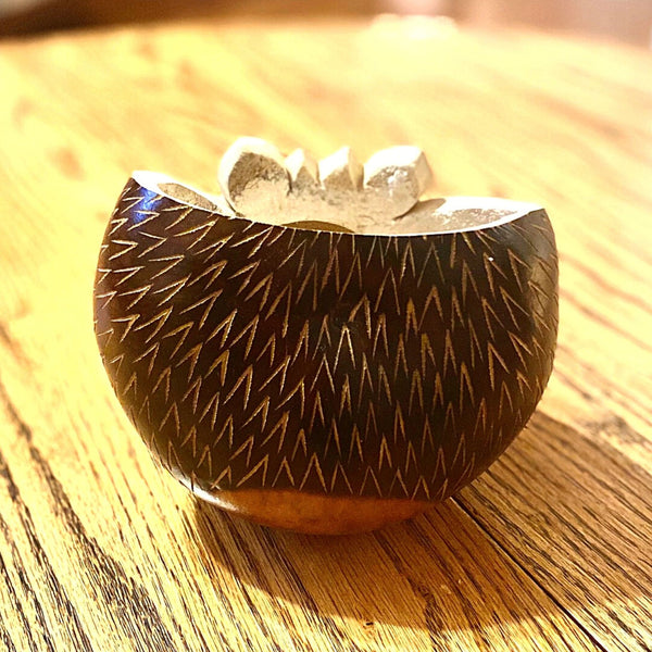 Ecofriendly Hedgehog Planter Pot Gourd