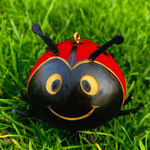 Lady Bug Gourd Ornament