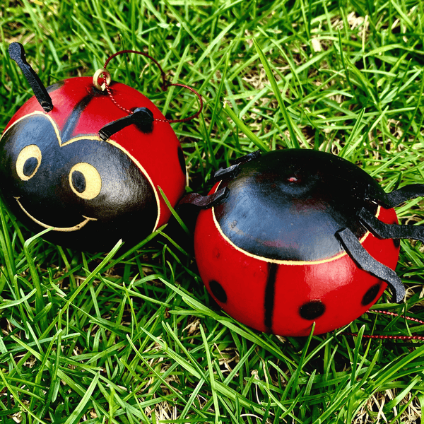 Lady Bug Gourd Ornament