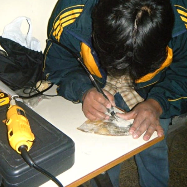 Tree of Life Recycled