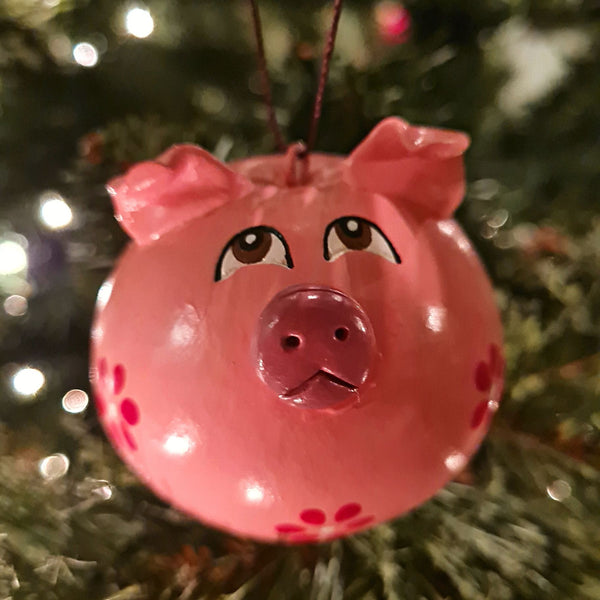 Piggy Gourd