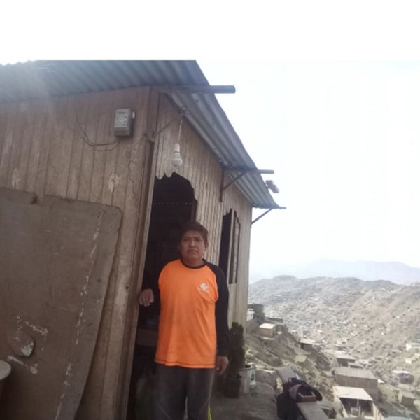 Recycled Bull Hairpin Butterfly