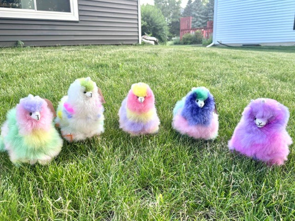 Colorinche Llamacorn
