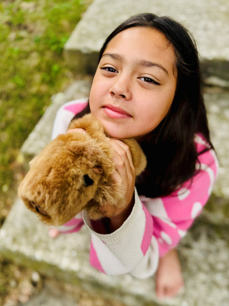 Chunky Capybara Alpaca Fur Toy