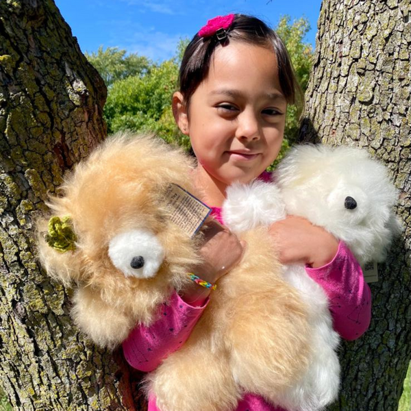 Teddy Bear - Handmade Alpaca Plush Toy