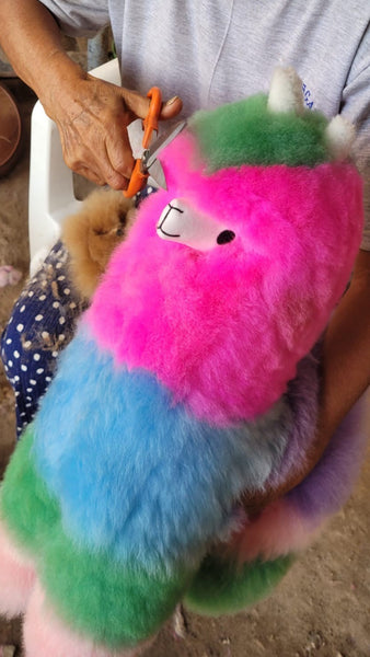 Big Llamacorn Vinicunca - Rainbow