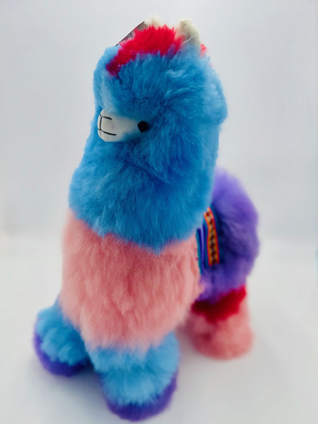 Sustainable Colorinche  Alpaca – Limited Edition Giant (Only 4 Made)