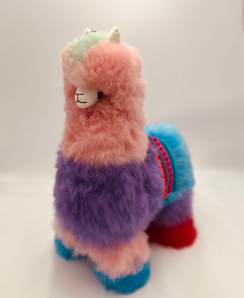 Sustainable Colorinche  Alpaca – Limited Edition Giant (Only 4 Made)