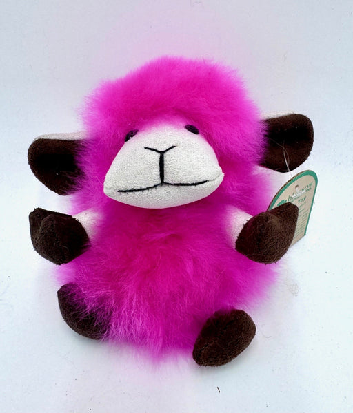 LIttle funny sheep