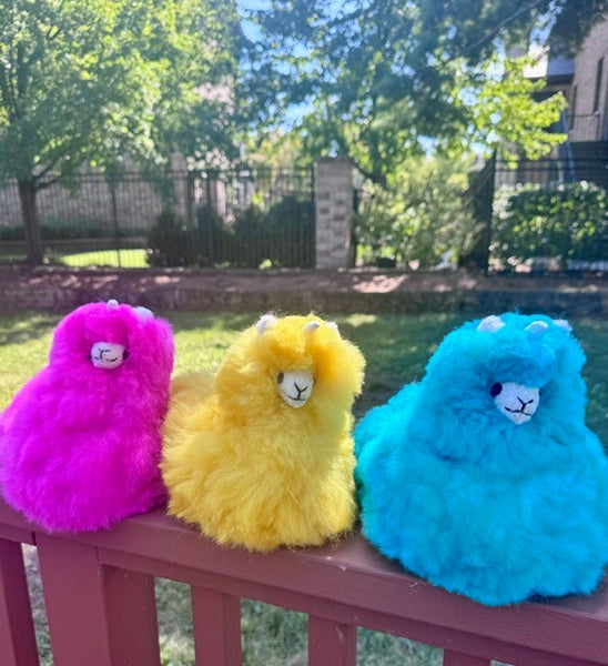 Sitting Llamacorn