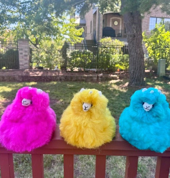 Sitting Llamacorn