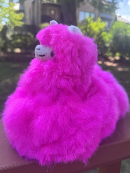 Sitting Llamacorn