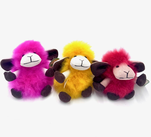 LIttle funny sheep