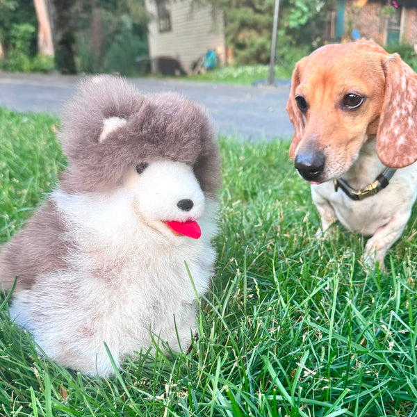 Husky Dog Alpaca Fur Toy