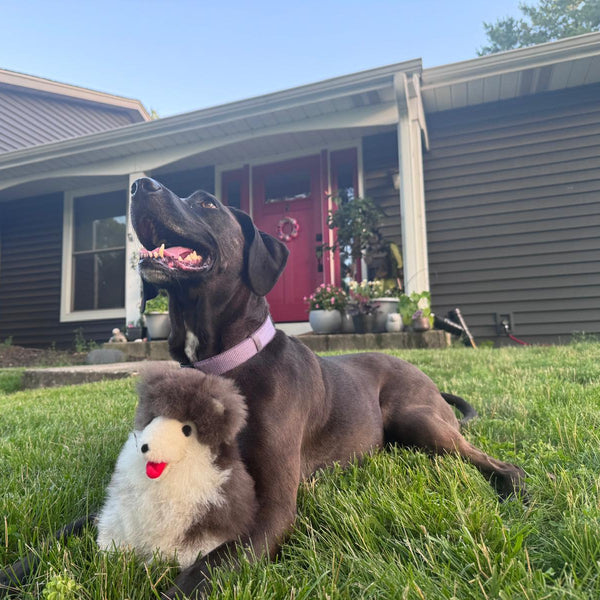 Husky Dog Alpaca Fur Toy