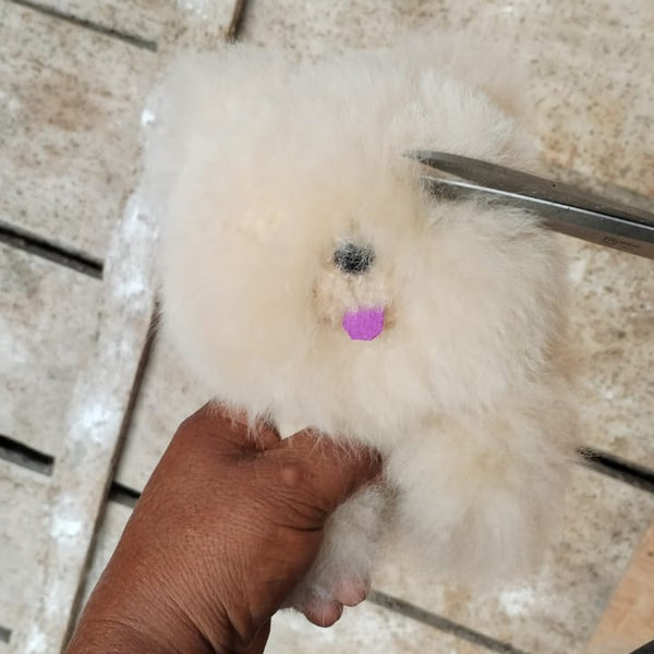Chow Chow - Handmade Alpaca Plush Toy