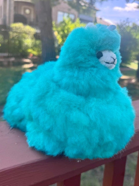 Sitting Llamacorn
