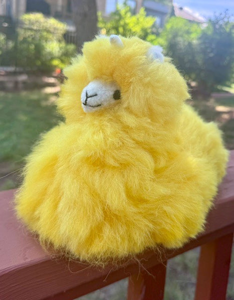 Sitting Llamacorn
