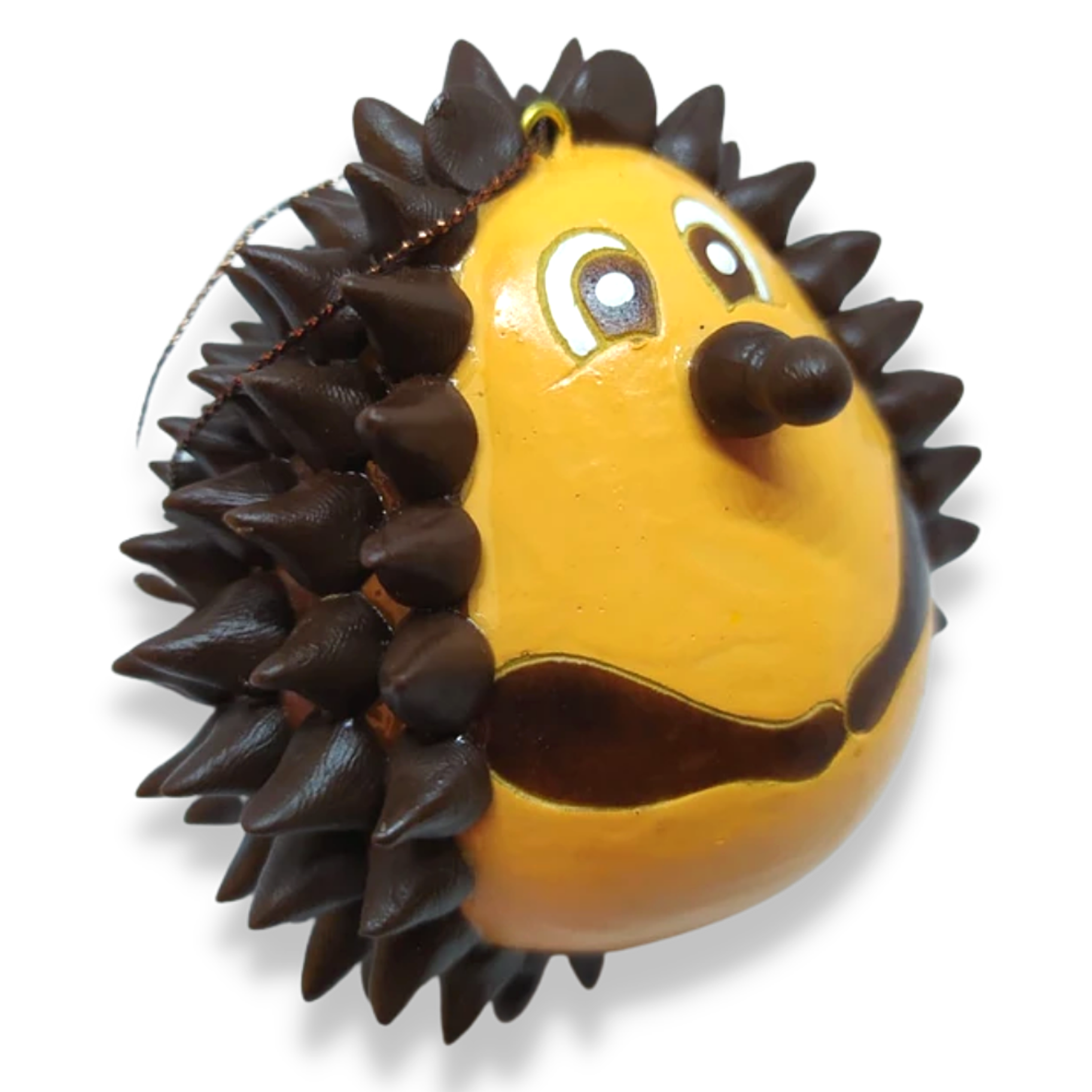 Hedgehog Gourd