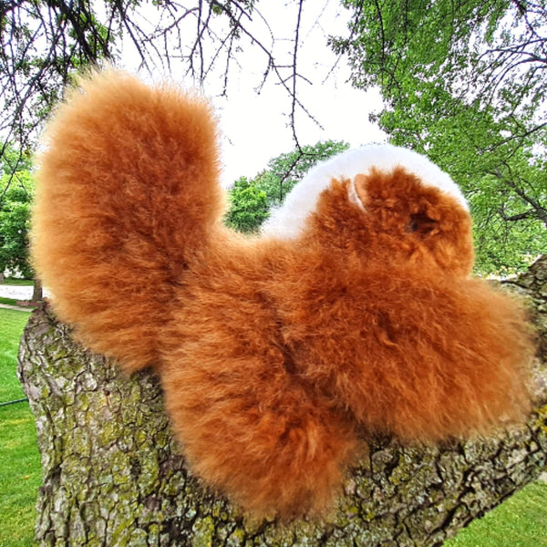 Handmade Alpaca Squirrel Toy